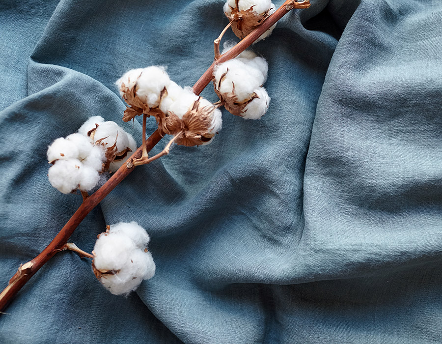 Sábanas ecológicas: sábanas de algodón tintadas de forma natural en tono azulado con una rama de algodón orgánico 